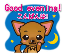 Chihuahuas English & Japanese sticker sticker #6628851