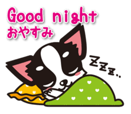 Chihuahuas English & Japanese sticker sticker #6628852