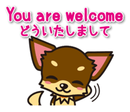 Chihuahuas English & Japanese sticker sticker #6628855