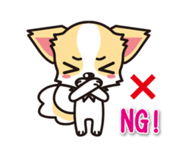 Chihuahuas English & Japanese sticker sticker #6628859