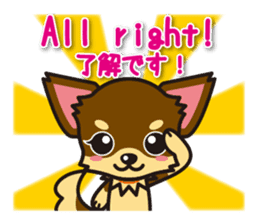 Chihuahuas English & Japanese sticker sticker #6628860
