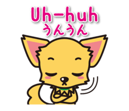 Chihuahuas English & Japanese sticker sticker #6628865