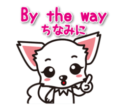 Chihuahuas English & Japanese sticker sticker #6628868