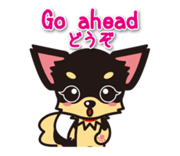 Chihuahuas English & Japanese sticker sticker #6628870
