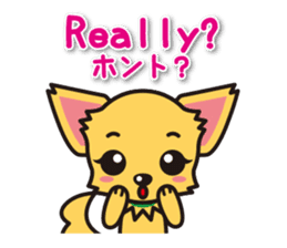 Chihuahuas English & Japanese sticker sticker #6628872