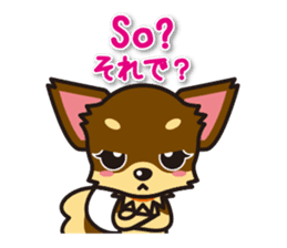 Chihuahuas English & Japanese sticker sticker #6628874