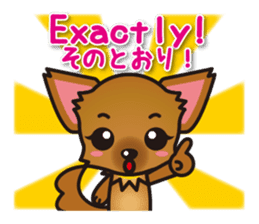 Chihuahuas English & Japanese sticker sticker #6628877