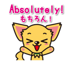 Chihuahuas English & Japanese sticker sticker #6628878