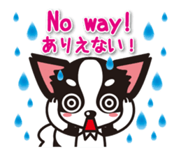 Chihuahuas English & Japanese sticker sticker #6628879