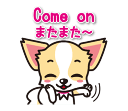 Chihuahuas English & Japanese sticker sticker #6628880