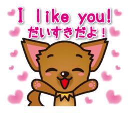 Chihuahuas English & Japanese sticker sticker #6628883