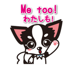 Chihuahuas English & Japanese sticker sticker #6628885