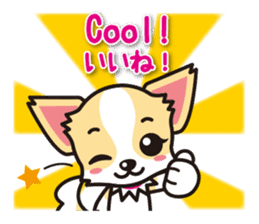Chihuahuas English & Japanese sticker sticker #6628887