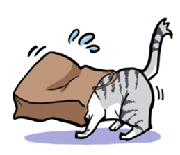 HANA-daily life sticker #6629217