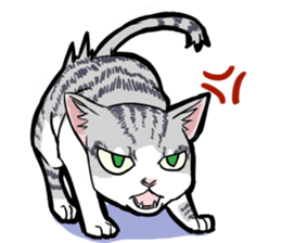 HANA-daily life sticker #6629224