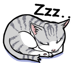 HANA-daily life sticker #6629244