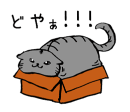 The fat cat `Debusuko` sticker #6629510