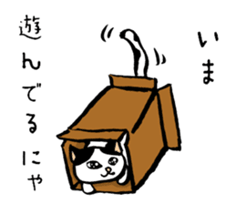 The fat cat `Debusuko` sticker #6629530