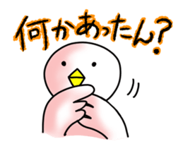 SHIRATORI duck(11) sticker #6631538