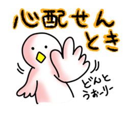 SHIRATORI duck(11) sticker #6631548