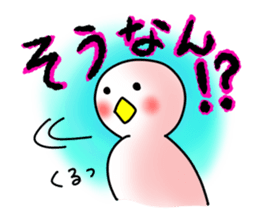 SHIRATORI duck(11) sticker #6631566