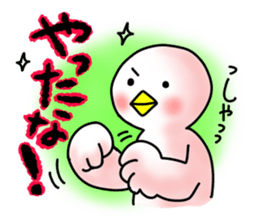 SHIRATORI duck(11) sticker #6631573