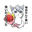 イケメン風な猫さん