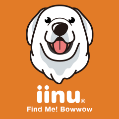 iinu - Great Pyrenees
