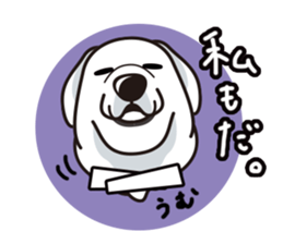 iinu - Great Pyrenees sticker #6633914