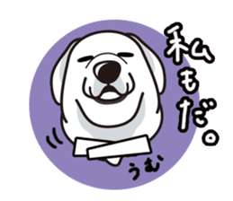 iinu - Great Pyrenees sticker #6633914