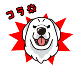 iinu - Great Pyrenees sticker #6633933