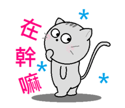 Gray cat(Wink articles) sticker #6638936