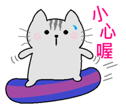 Gray cat(Wink articles) sticker #6638945