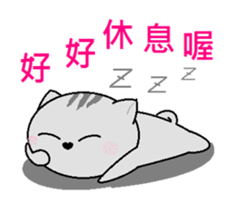 Gray cat(Wink articles) sticker #6638958