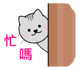 Gray cat(Wink articles) sticker #6638963