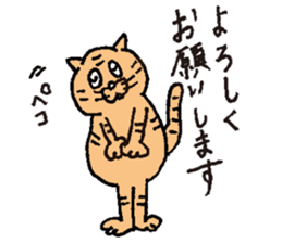 Cat KuriChacha sticker #6641737