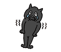 Cat KuriChacha sticker #6641753