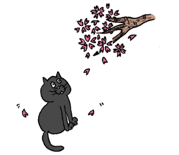 Cat KuriChacha sticker #6641772