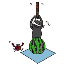 Cat KuriChacha sticker #6641773