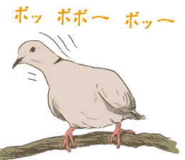 Collared dove from Saitama sticker #6642256