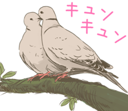 Collared dove from Saitama sticker #6642258