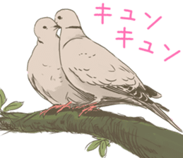 Collared dove from Saitama sticker #6642258
