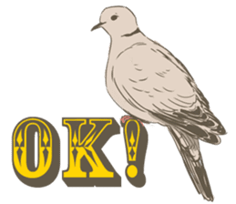 Collared dove from Saitama sticker #6642260