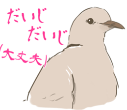 Collared dove from Saitama sticker #6642261