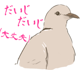 Collared dove from Saitama sticker #6642261