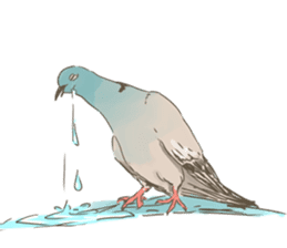Collared dove from Saitama sticker #6642267