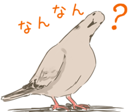Collared dove from Saitama sticker #6642268