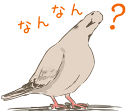 Collared dove from Saitama sticker #6642268