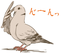Collared dove from Saitama sticker #6642269