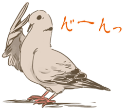 Collared dove from Saitama sticker #6642269